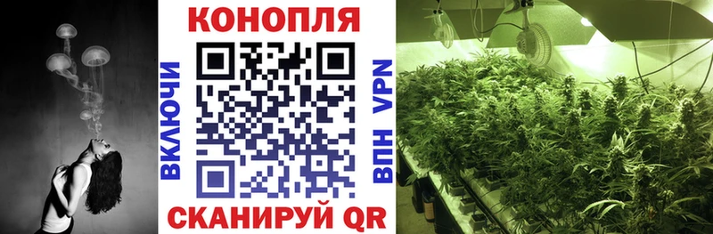 Купить закладку Вытегра COCAIN  Мефедрон  Бошки Шишки 