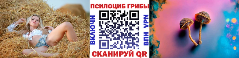 Галлюциногенные грибы ЛСД Вытегра