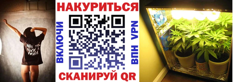 Бошки марихуана Bruce Banner  Вытегра 